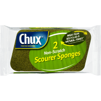 Non Scratch Scourer Sponges (2pk)