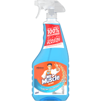 Glass Cleaner (500ml)