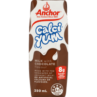 Calci-Yum Chocolate Flavour Milk (250ml)