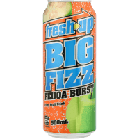 Big Fizz Feijoa Burst Fizzy Fruit Drink (500ml)