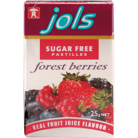 Forest Berries Sugar Free Pastilles (25g)