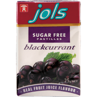 Blackcurrent Sugar Free Pastilles (25g)