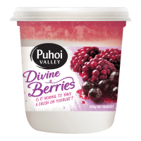 Divine Berries Yoghurt (450g)