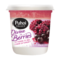 Divine Berries Yoghurt (200g)