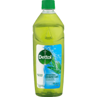 Eucalyptus Antibacterial Disinfectant Liquid (500ml)
