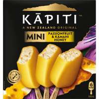 Passionfruit & Kamahi Honey Yoghurt Ice Cream (6 x 60ml)