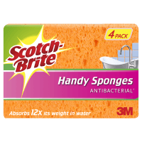 Stayfresh Anti-Bacterial Handy Sponges (4pk)