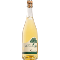 Apple & Feijoa Dry Sparkling Wine (750ml)