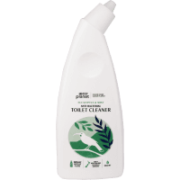 Eucalyptus & Mint Anti-Bacterial Toilet Cleaner (500ml)