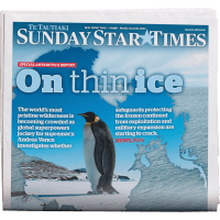 Newspaper (1pk)