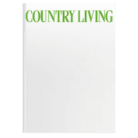 Magazine (ea)