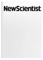 Magazine (ea)