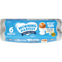 Colony Size 6 Eggs (12pk)