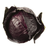 Red Cabbage (ea)