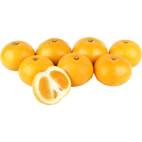 Loose Grapefruit (kg)