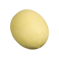 Honeydew Melon (ea)