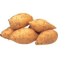 Gold Kumara (kg)