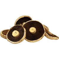 Portabello Flat Mushrooms (kg)