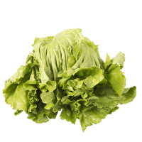 NZ Iceberg Lettuce (ea)