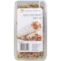 Spicy Red Radish Sprouts (100g)