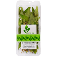 Vietnamese Mint. (18g)