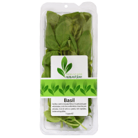 Basil. (18g)