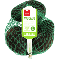 Avocado (3pk)