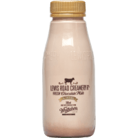 Chocolate Milk (300ml)