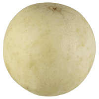 Honeydew Melon (ea)