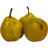 Winter Nelis Pears (kg)