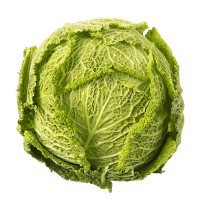Green Savoy Cabbage (ea)