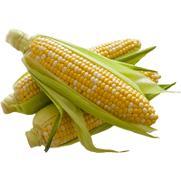 Sweetcorn (ea)