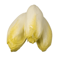 Witloof (kg)