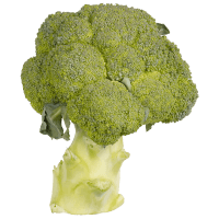Organic Broccoli (ea)