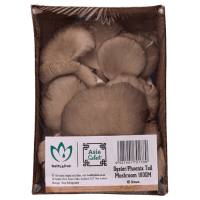 Oyster Mushrooms (100g)