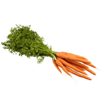 Bunched Baby Carrots (1pk)