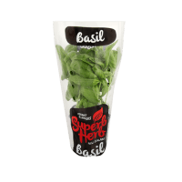 Basil Pot (ea)