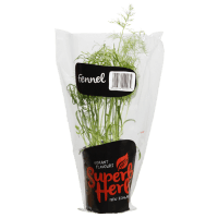 Fennel Herb Pot (ea)
