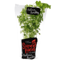 Italian Parsley Herb Pot (ea)
