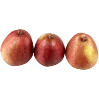 Danjou Pears (kg)