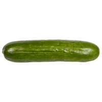 Lebanese Cucumber (ea)