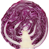 Red Cabbage Half (ea)