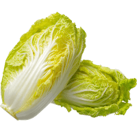Chinese Cabbage (Wong Bok) (ea)
