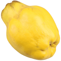 Quince (kg)