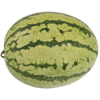 Red Watermelon (ea)