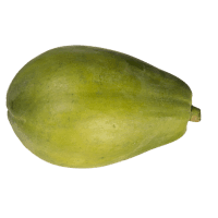 Large Pawpaw (1pk)