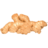Ginger (kg)