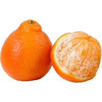 Minneola Tangelo Imported (kg)