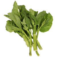 Gai Choy Cabbage (kg)