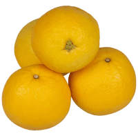 Summer Kiss Valencia Oranges (KG)